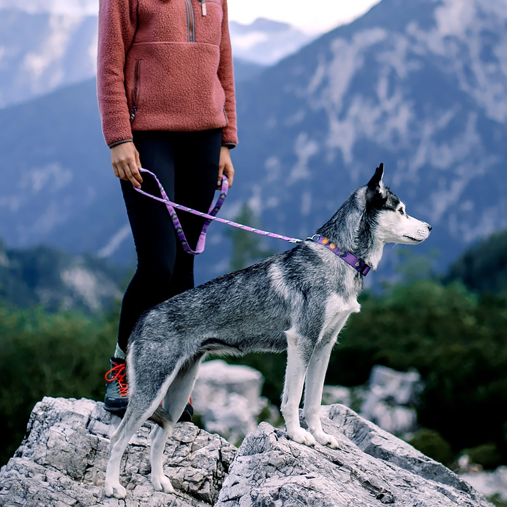 Woolly Wolf leash - made of recycled material - 12