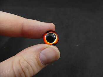 Glazen ogen 20 st - 8, 10, 12 of 15 mm