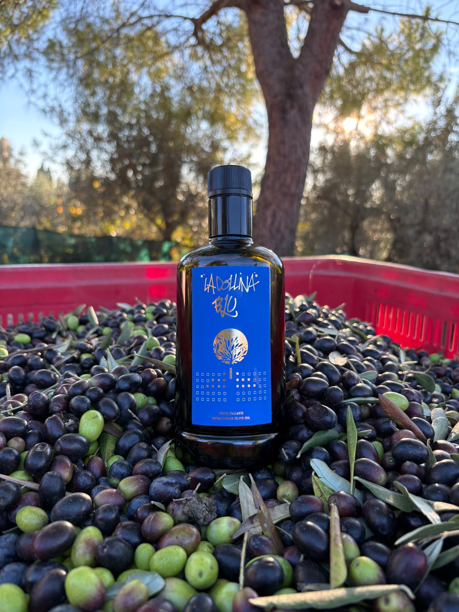 La Collina Blu - 500ml
