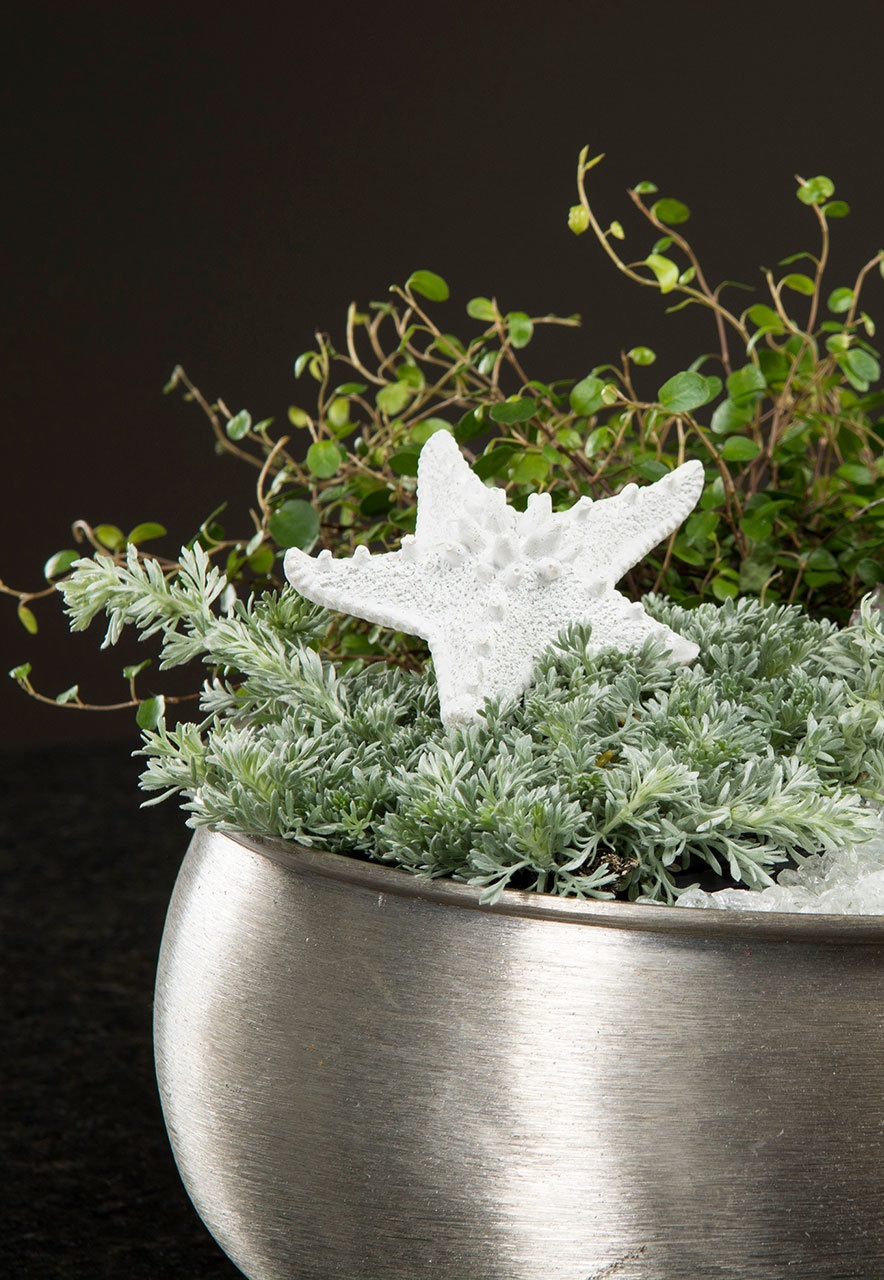 Starfish Poly/Stick White - 9x2.5 cm