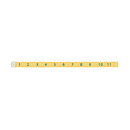 Quickutz Cookie Cutter Dies - Measuring Tape CC-BDR-069