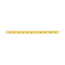 Quickutz Cookie Cutter Dies - Measuring Tape CC-BDR-069