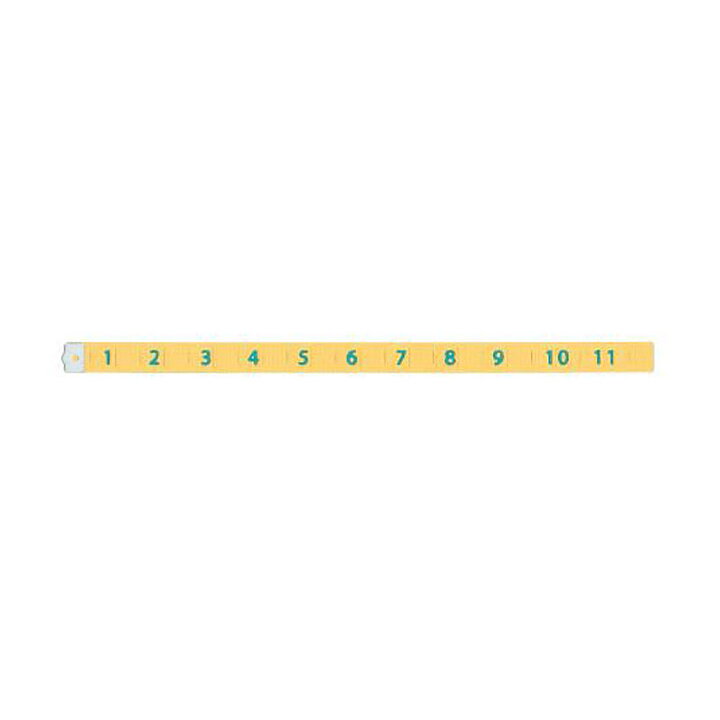 Quickutz Cookie Cutter Dies - Measuring Tape CC-BDR-069