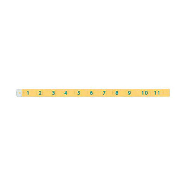 Quickutz Cookie Cutter Dies - Measuring Tape CC-BDR-069