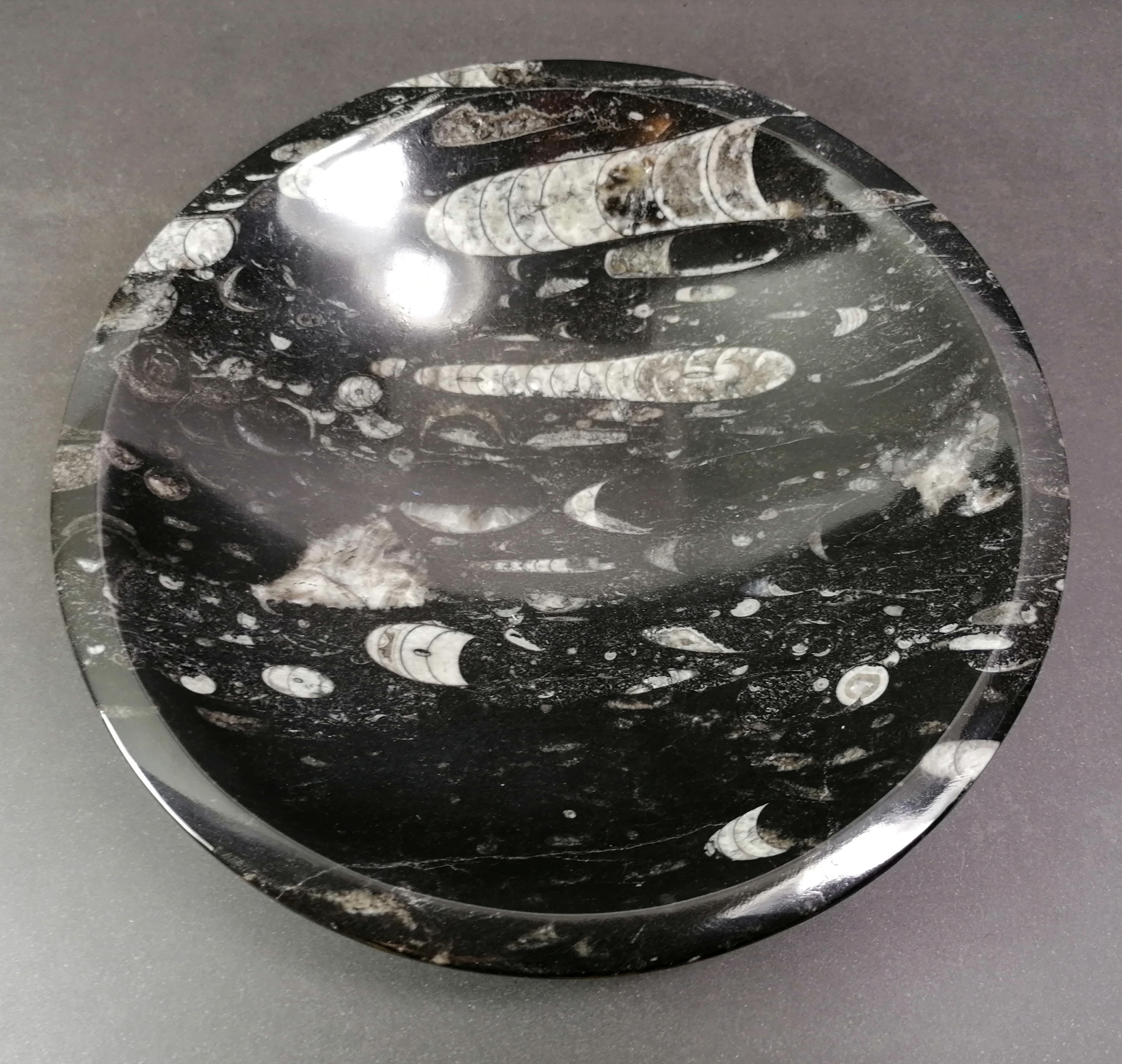 Svart Rund Sten skål med Fossiler,   20cm