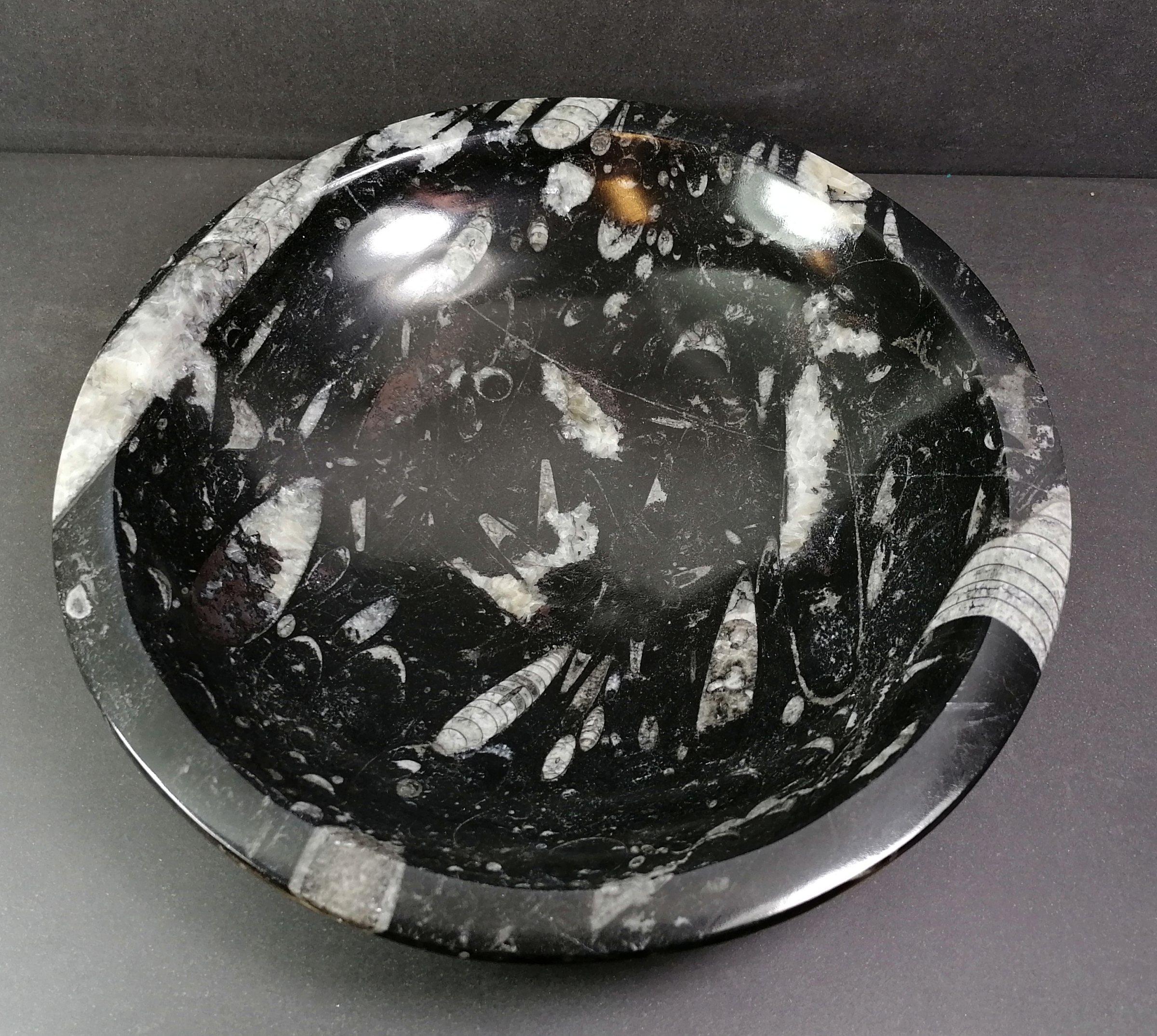 Svart Rund Skål med Fossiler,   26cm