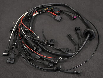 MaxxECU Race + 4-8 cylinders Custom harness