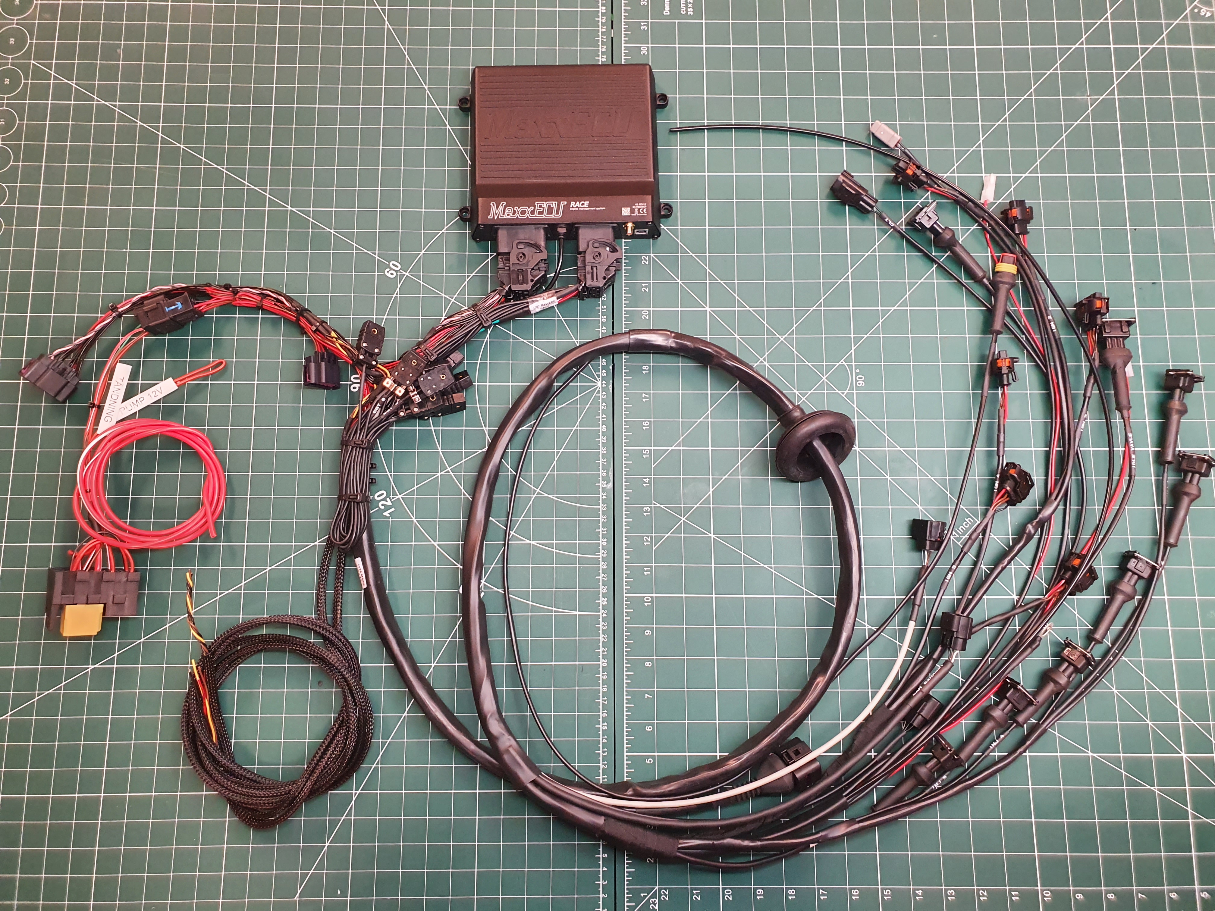 MaxxECU Race + 4-8 cylinders Custom harness - 2