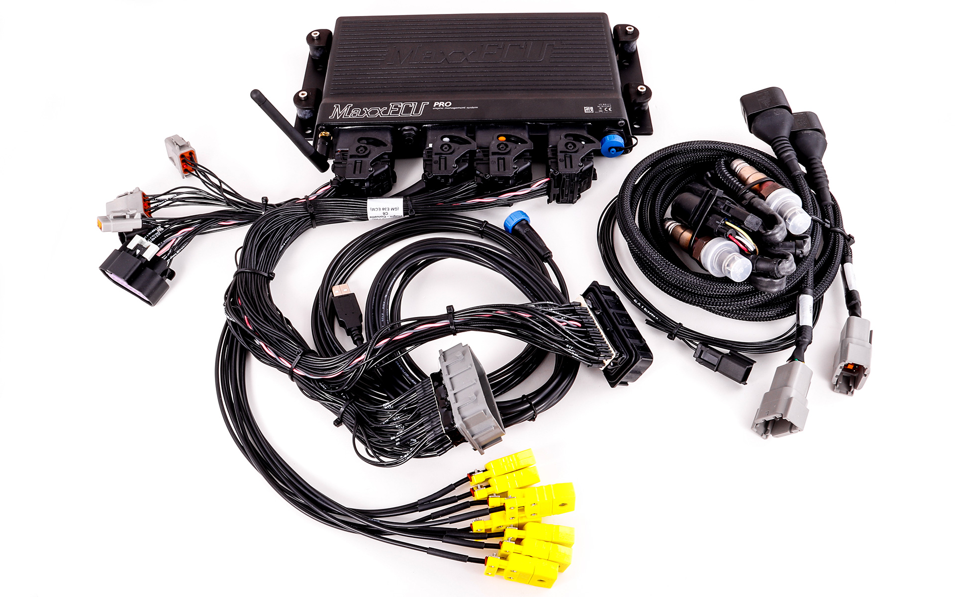 MaxxECU Pro + 4-8 cylindrar Custom härva