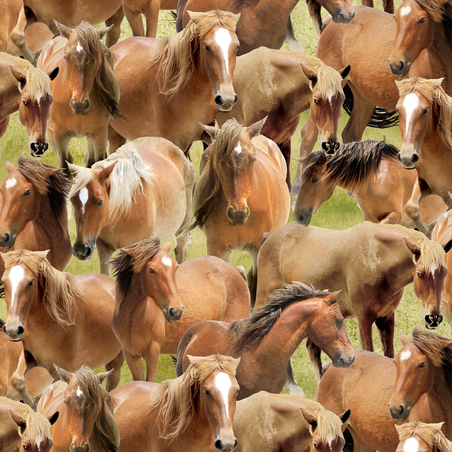 Greener Pasture - Green Packed Horses - Hästar