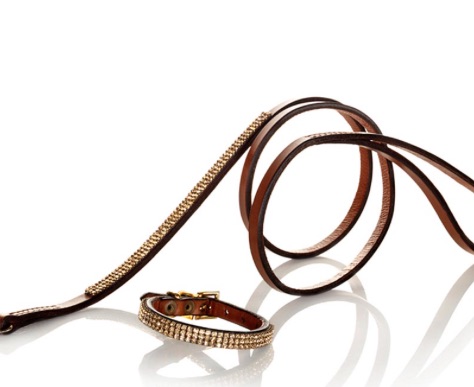 Diamond Dog Brown 3 Row Tiny Gold Swarovski Elements - 3