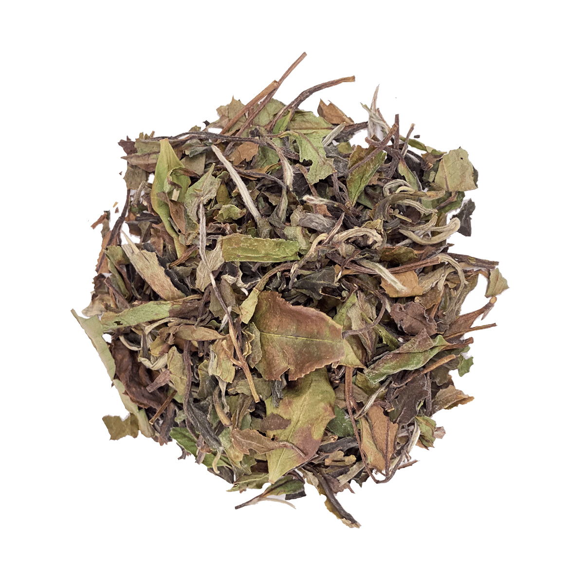WHITE EARL GREY - SIBYLLANS