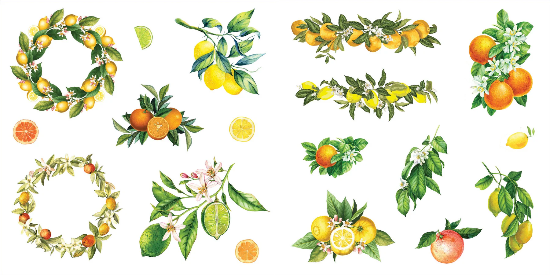 Bunches of Botanicals Sticker Book (500 stickers) - 11