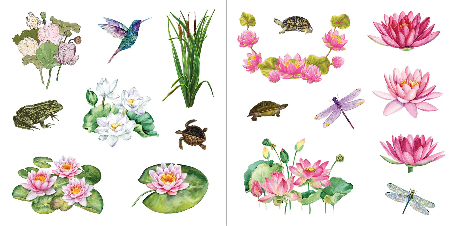 Bunches of Botanicals Sticker Book (500 stickers) - 18