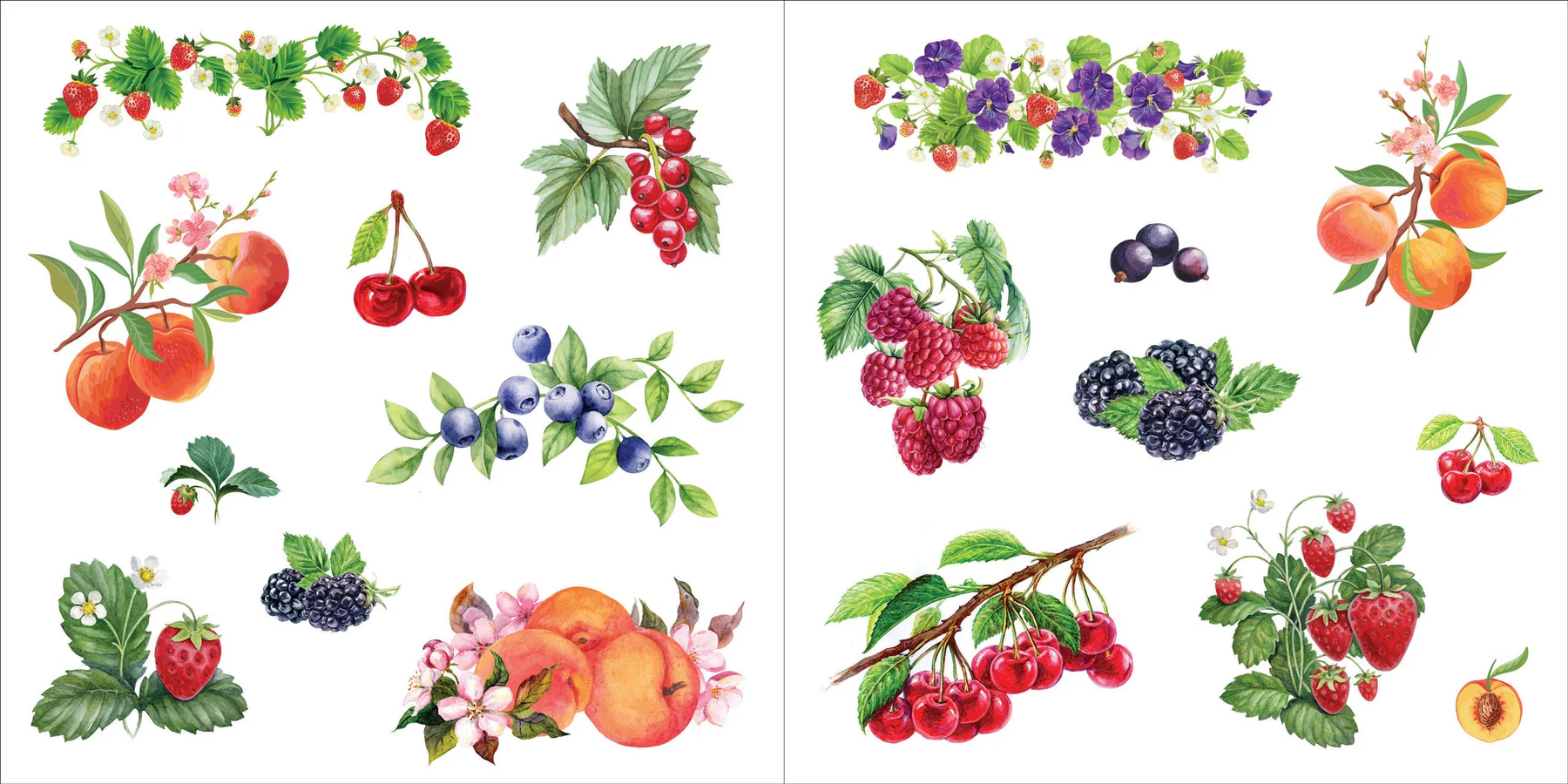 Bunches of Botanicals Sticker Book (500 stickers) - 12