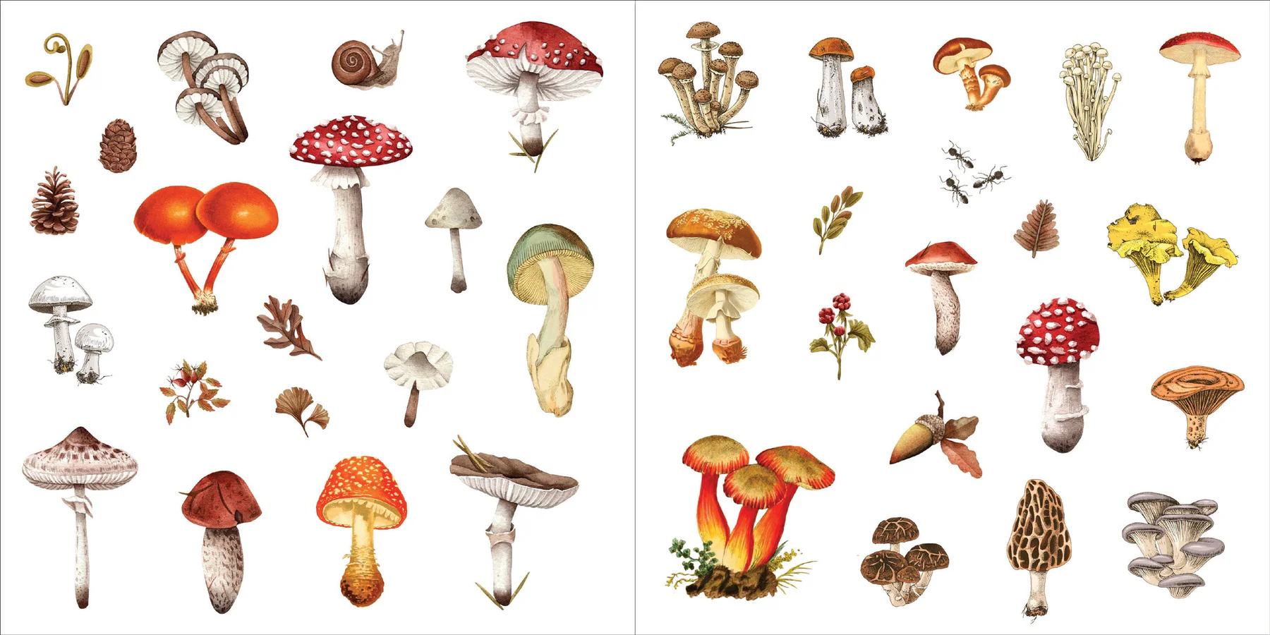 Bunches of Botanicals Sticker Book (500 stickers) - 16