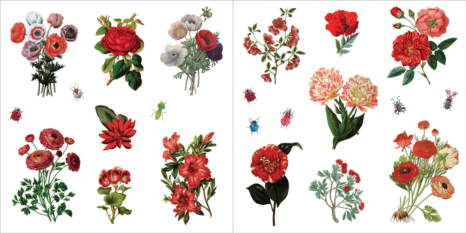 Bunches of Botanicals Sticker Book (500 stickers) - 2