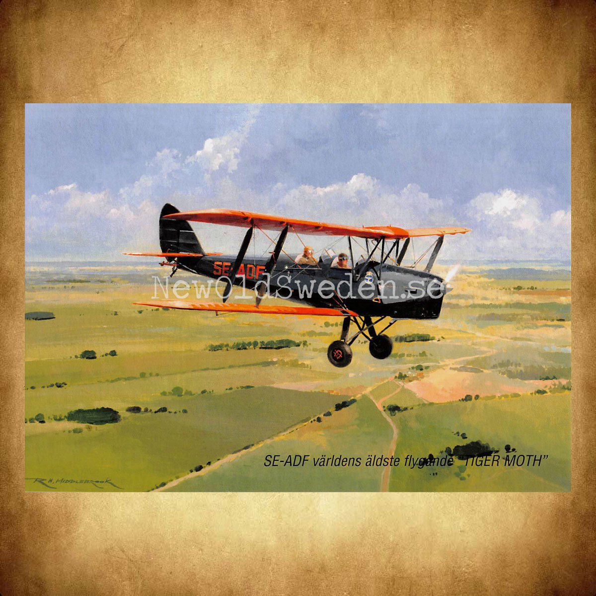 SE-ADF världens äldste flygande TIGER MOTH - Flyg - Vykort A5 - 2