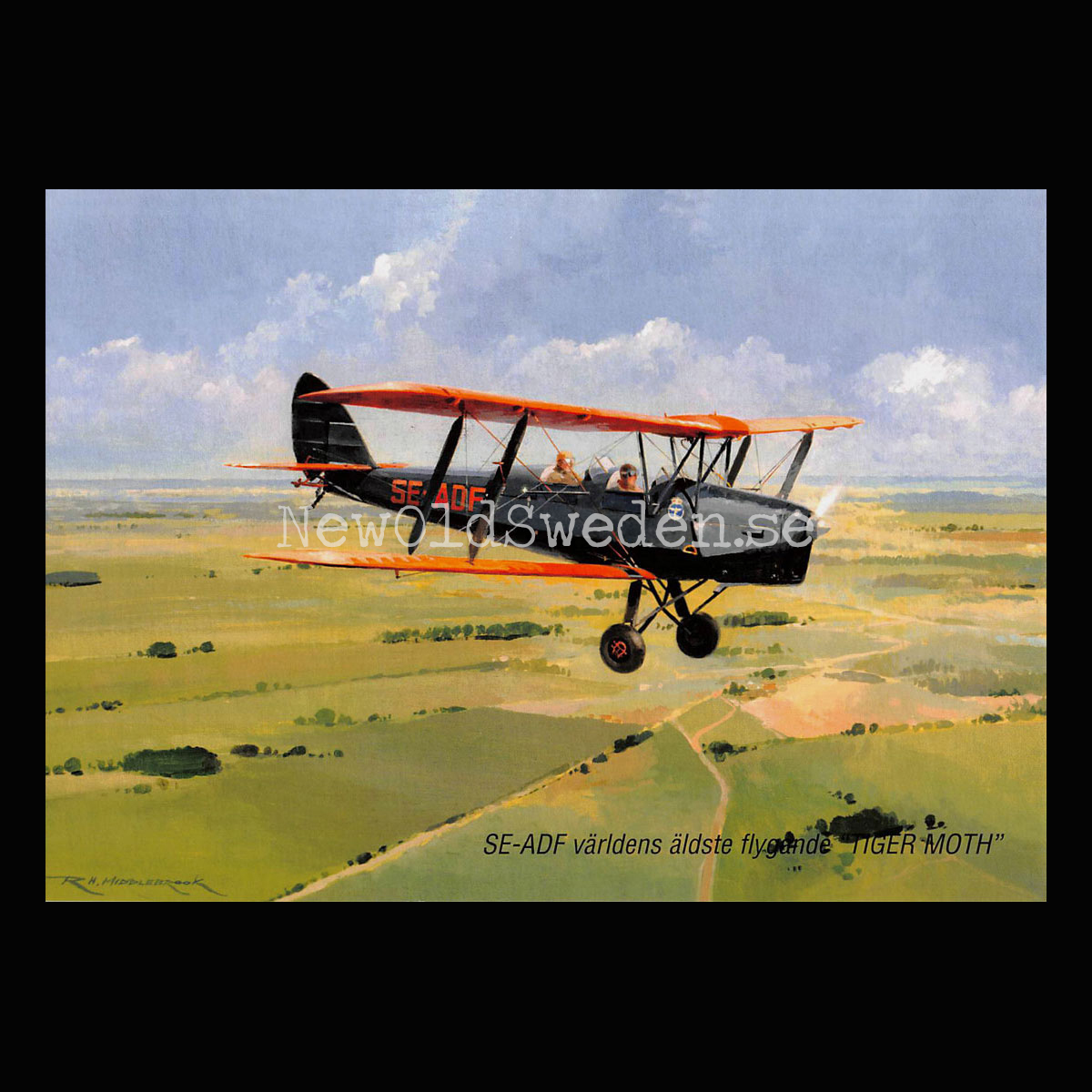 SE-ADF världens äldste flygande TIGER MOTH - Flyg - Vykort A5