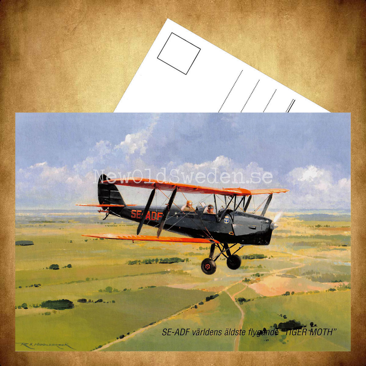 SE-ADF världens äldste flygande TIGER MOTH - Flyg - Vykort A5 - 3