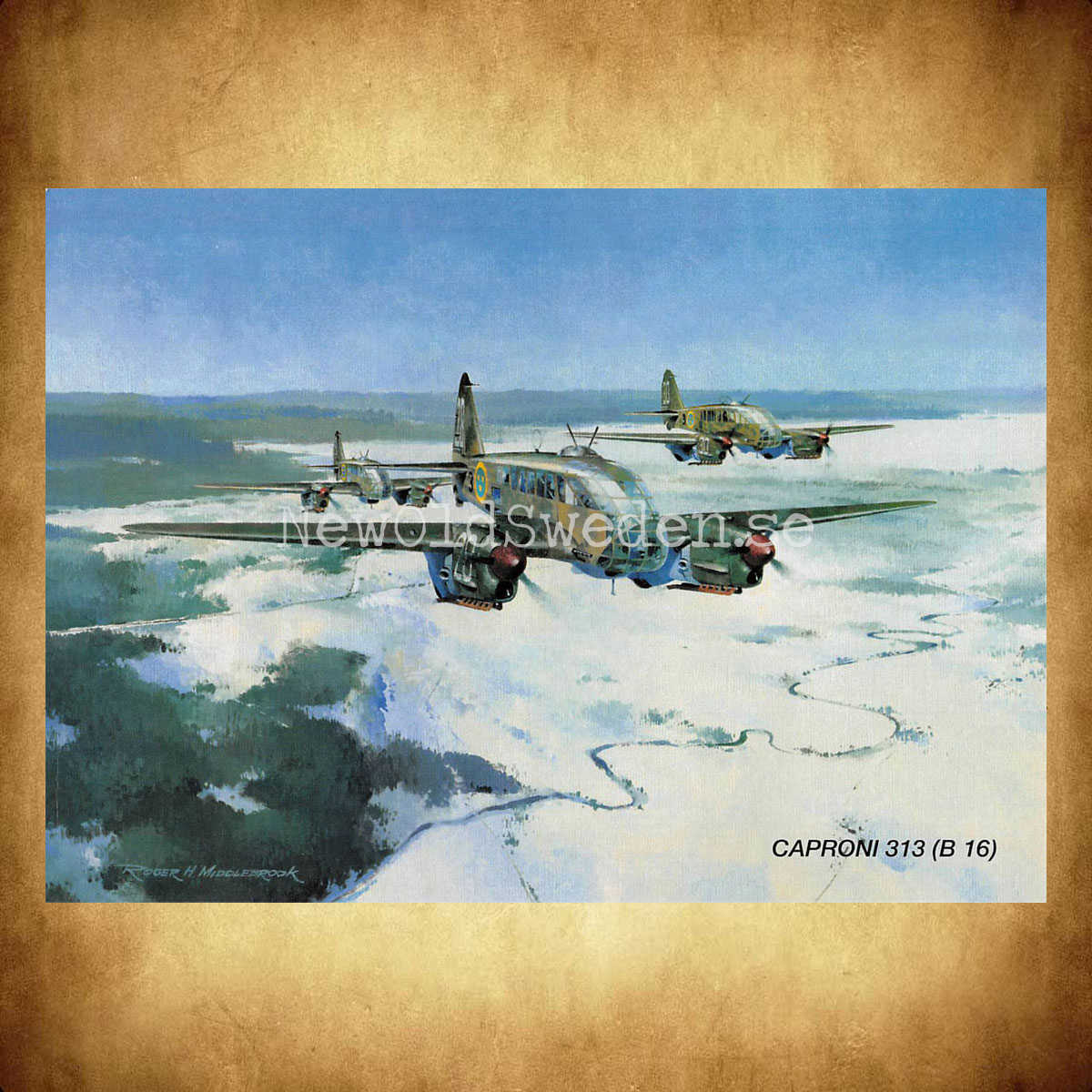 CAPRONI 313 (B 16) - Flyg  - Vykort A5 - 2