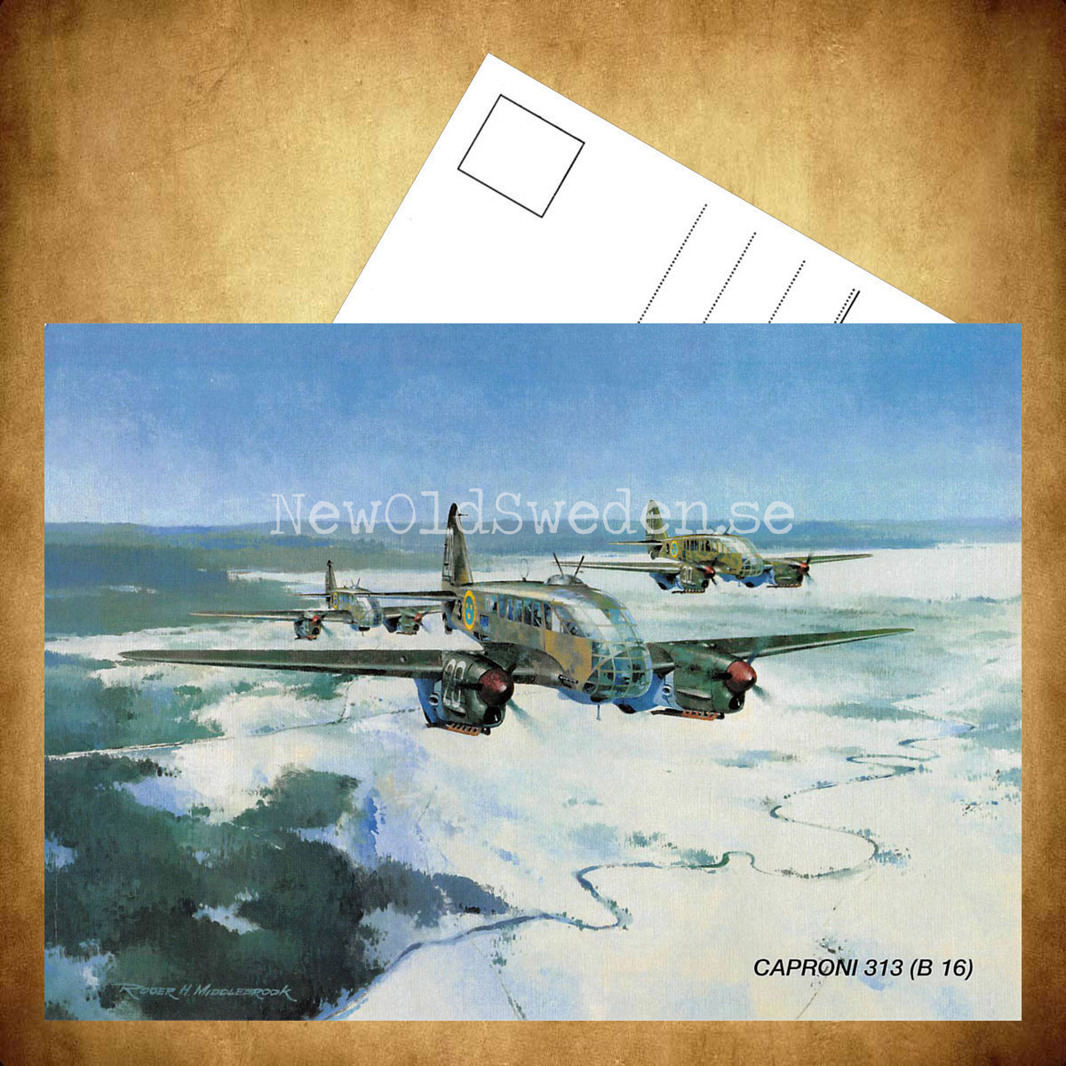 CAPRONI 313 (B 16) - Flyg  - Vykort A5 - 3
