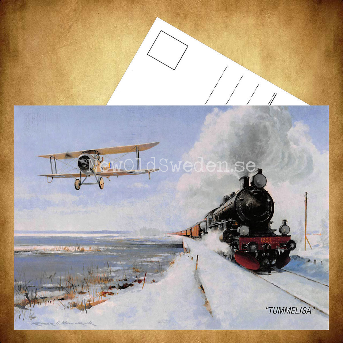 TUMMELISA - Flyg - Tåg - 3