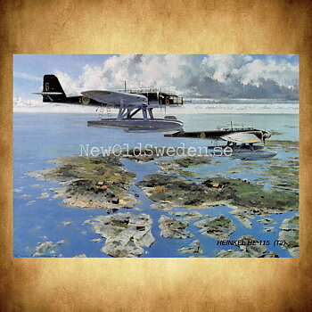 HEINKEL HE 115 (T2) - Flyg