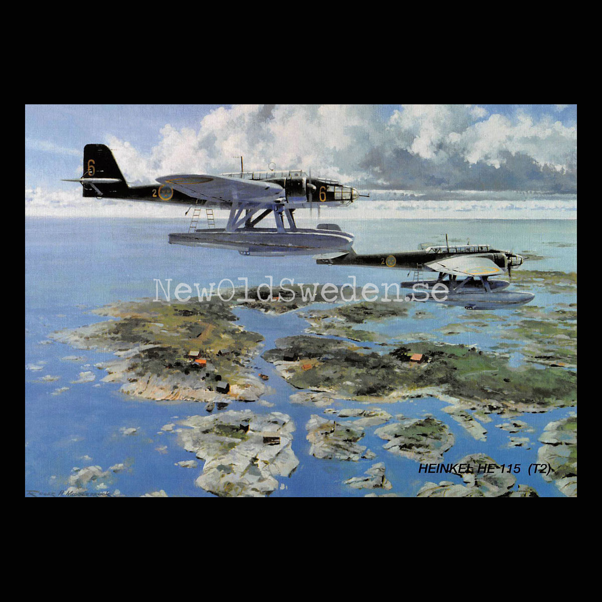 HEINKEL HE 115 (T2) - Flyg