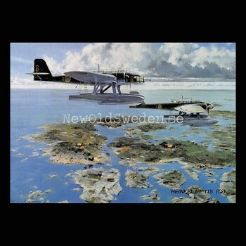 HEINKEL HE 115 (T2) - Flyg