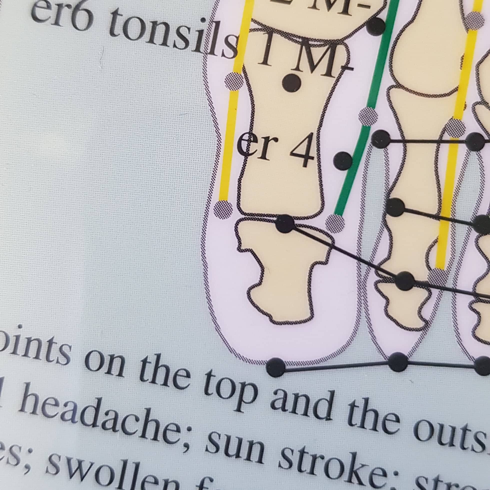 Akupoints of the feet - with indications for moxibustion - 2