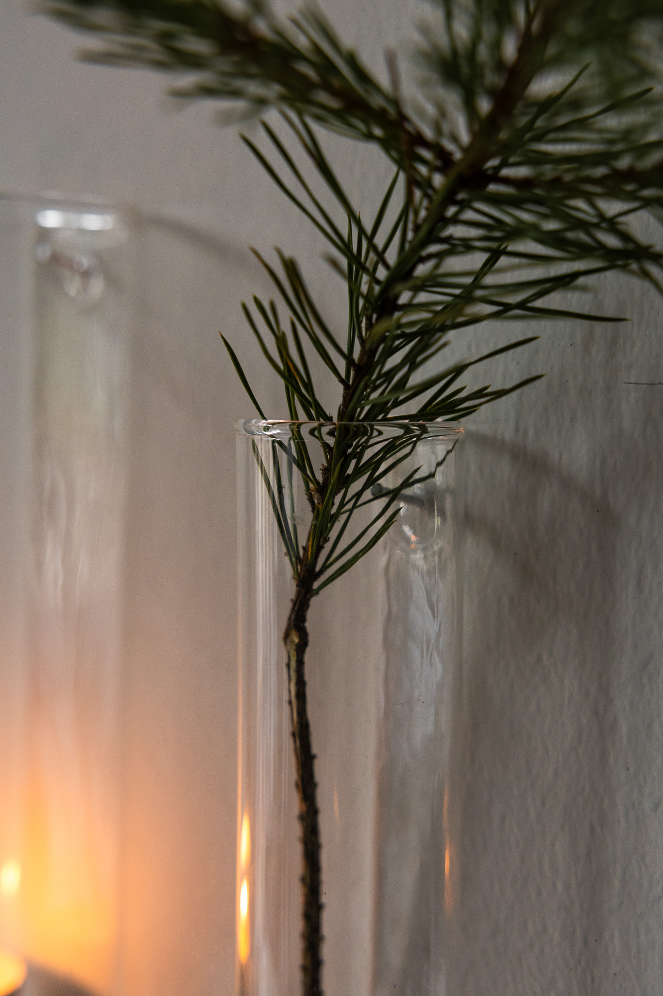 Wall vase - Clear glass vase - 12 cm - 6