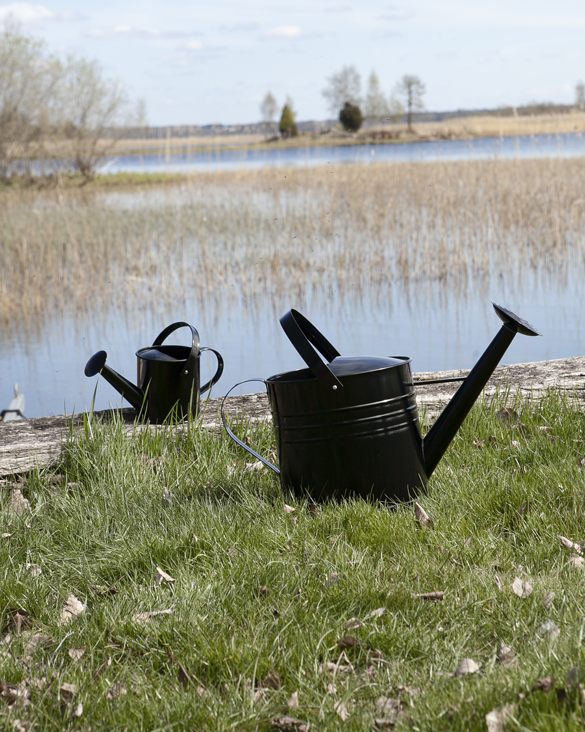 1 litre black watering can - 4