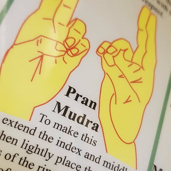 Mudra Energy