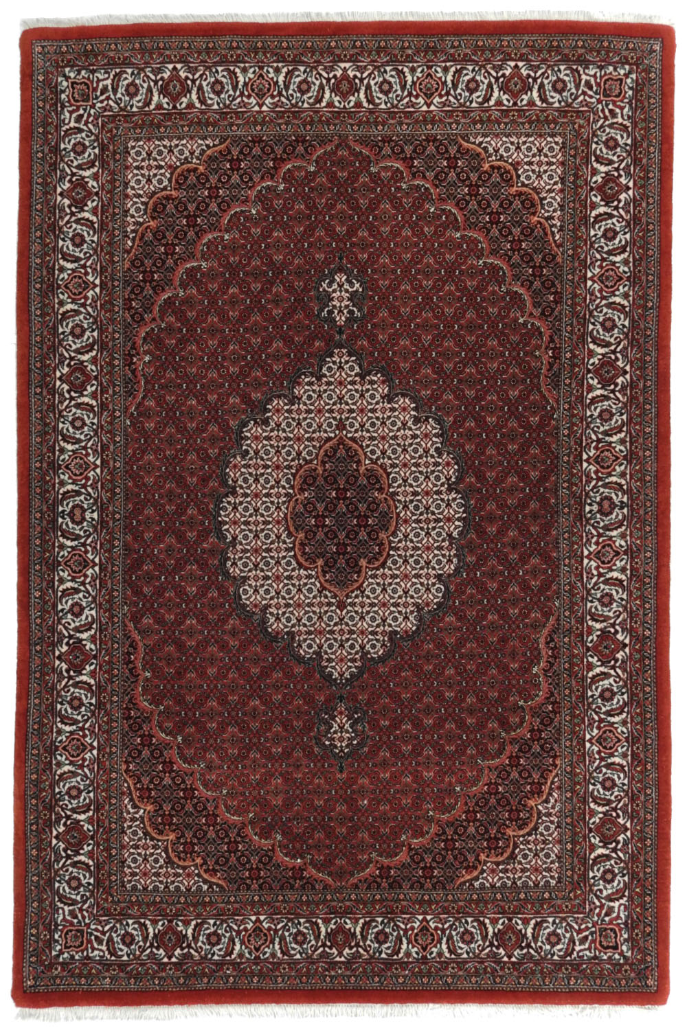Bidjar 154x223cm