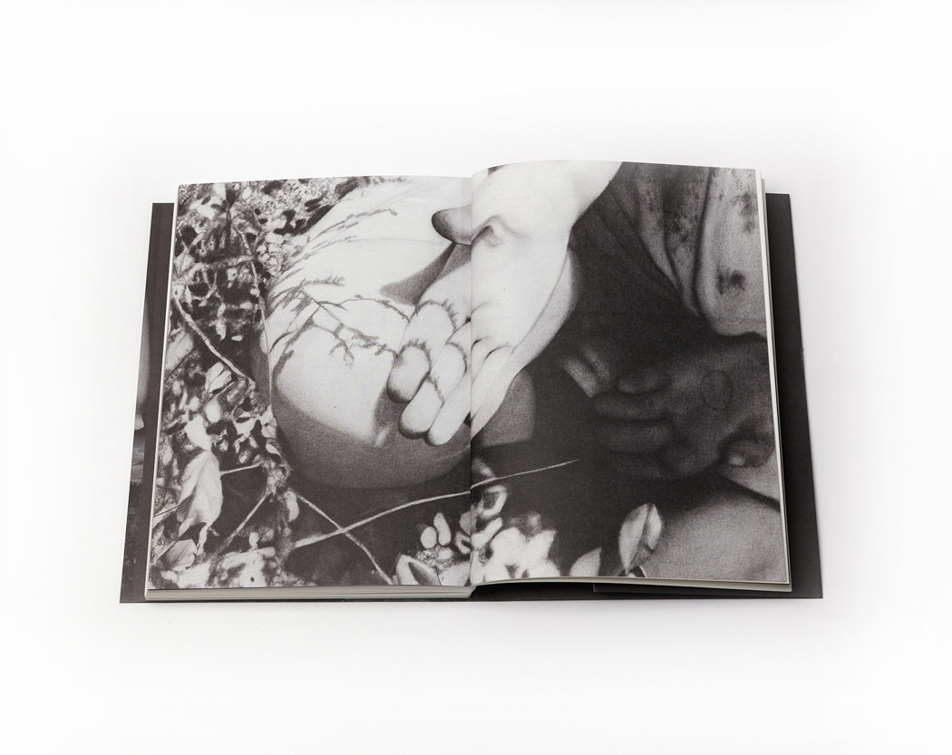 Rebecka Tollens: Fetch Your Flowers -3
