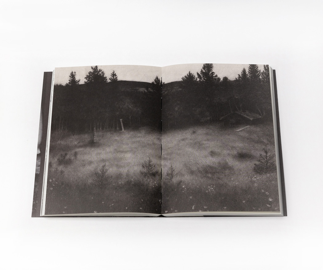 Rebecka Tollens: Fetch Your Flowers [signed] - 6