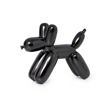 Lucky - Magnetic Photo Holder