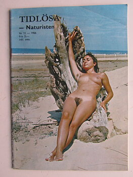 Tidlösa 1966 11