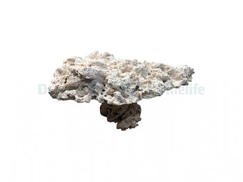 Marcorock pedestal rock natural top