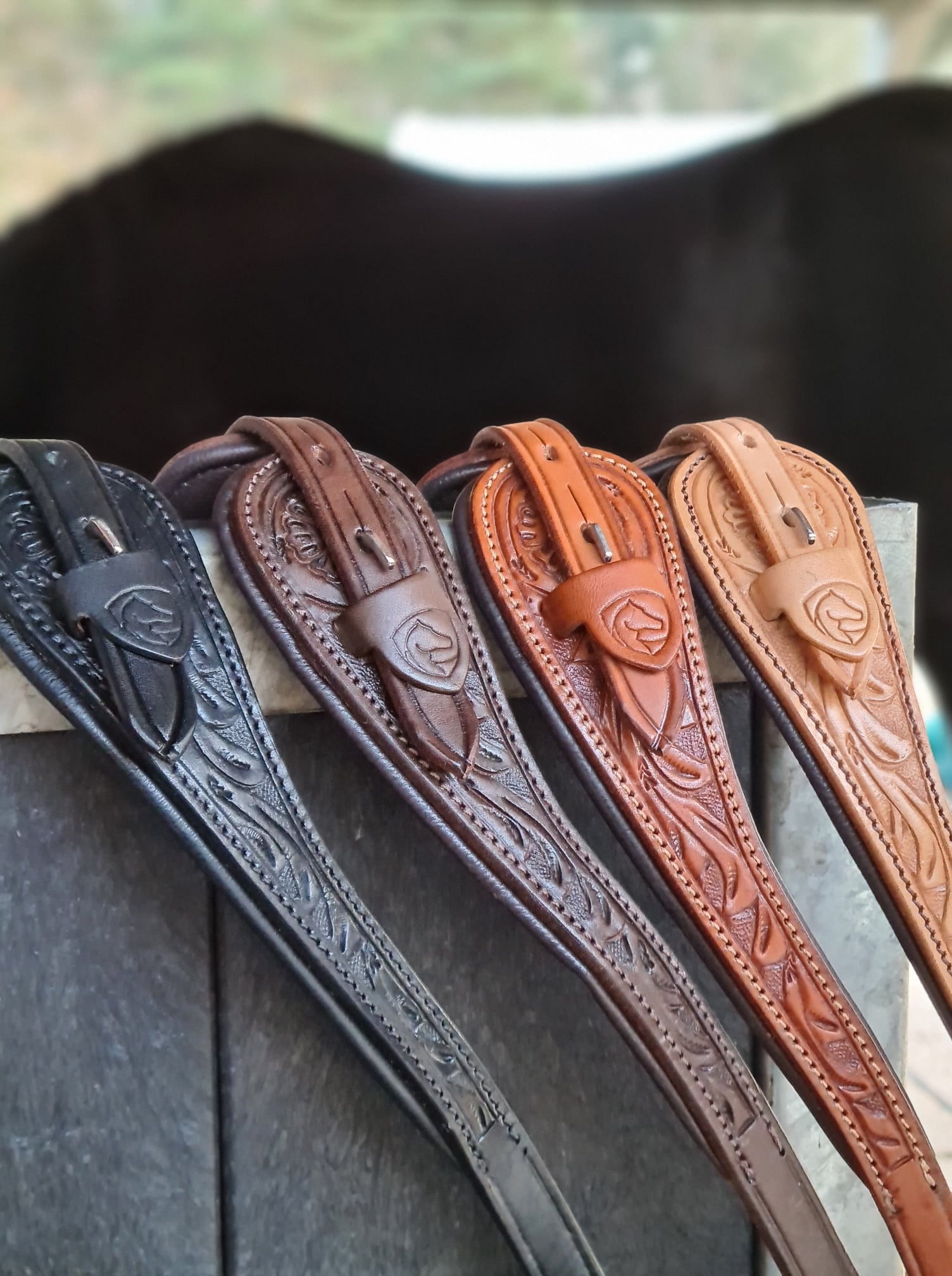 Bitless Bridle Anatomical, Edix© Rose, svart - 2