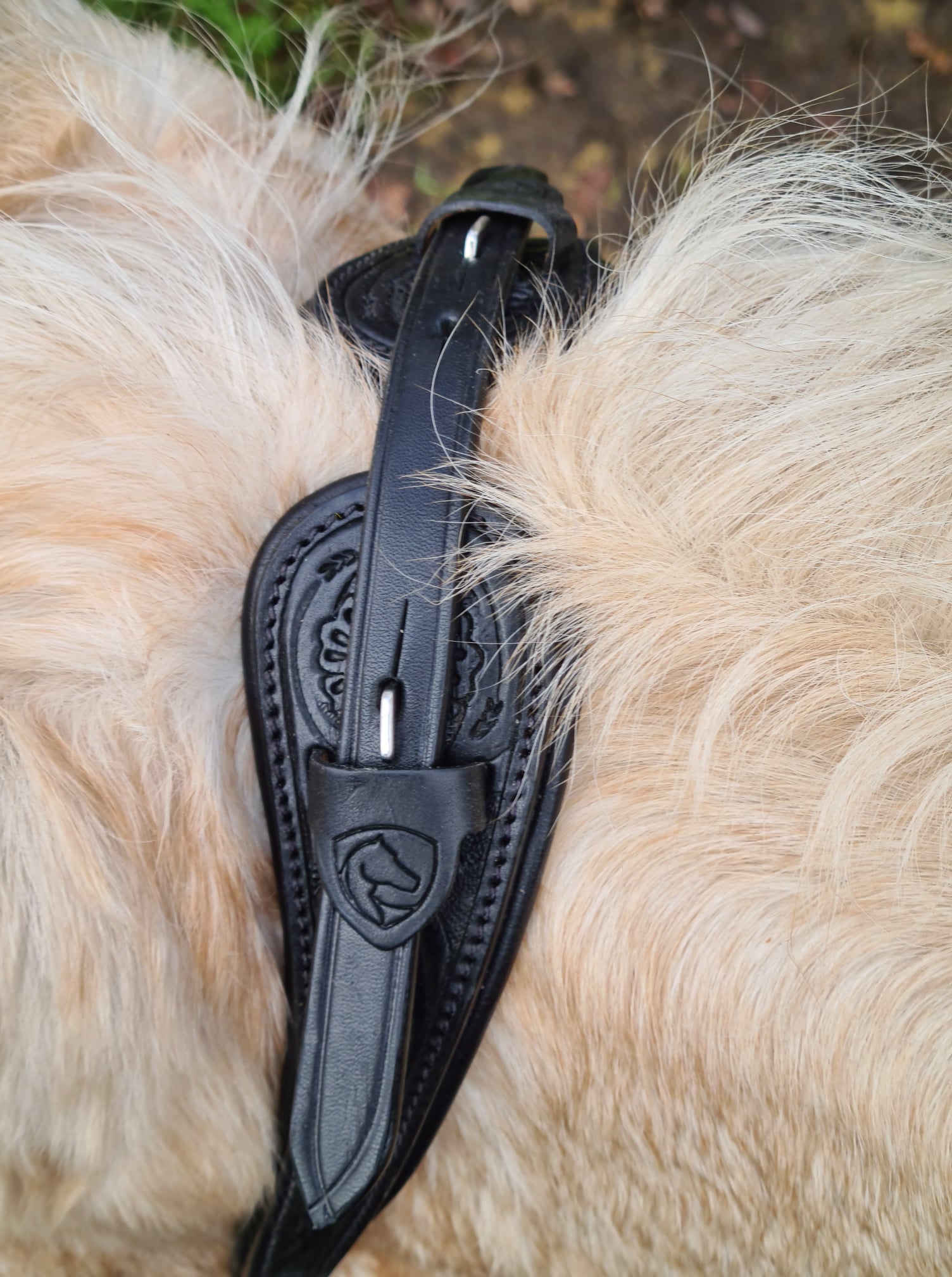 Bitless Bridle Anatomical, Edix© Rose, svart - 5