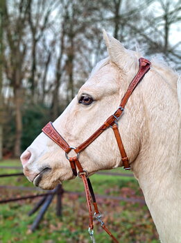 Bitless Bridle Anatomical, Edix© Rose, cognac
