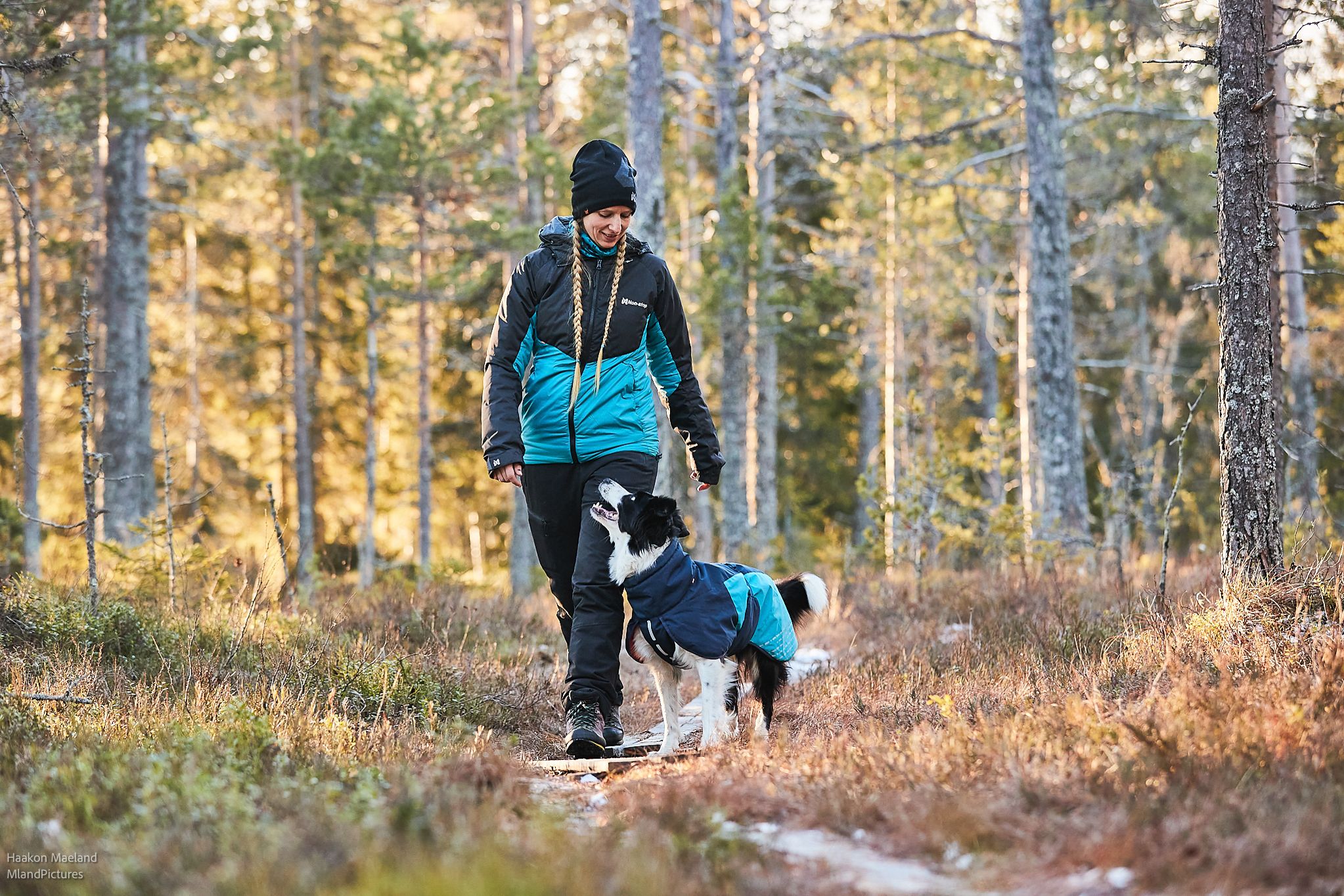 Non-stop Glacier jacket 2.0 - hundtäcke blå/turkos - 4