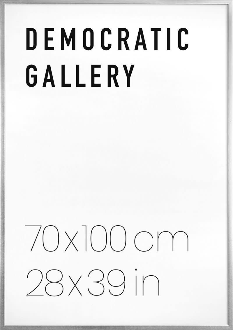 SILVER WOOD FRAME 70X100CM / 28X39IN