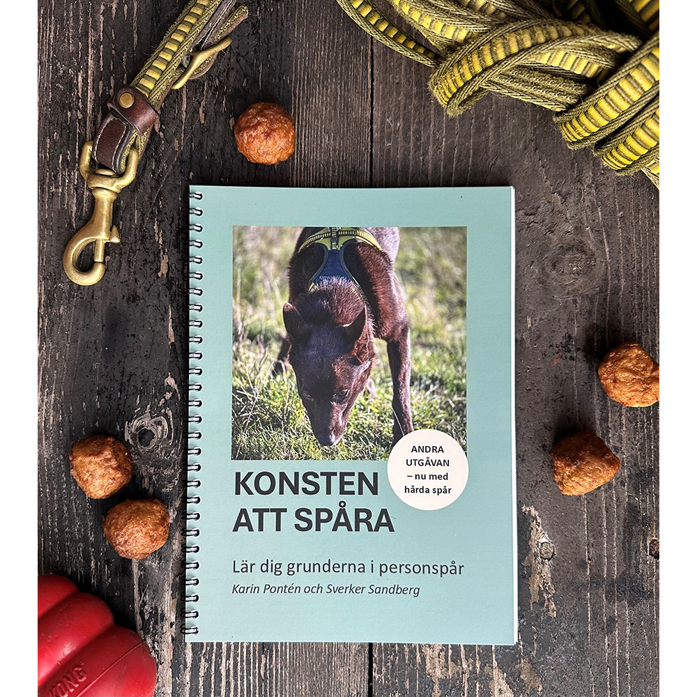 Konsten att spåra 