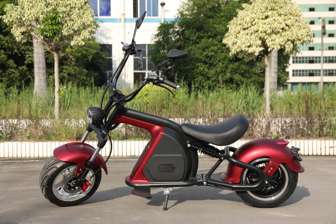 M 8 EEC  2000W 30ah  202305
