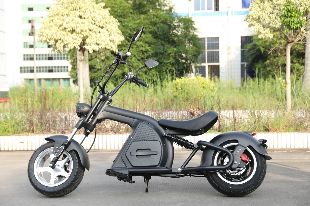 SC11 EE  500W 60V 20ah 