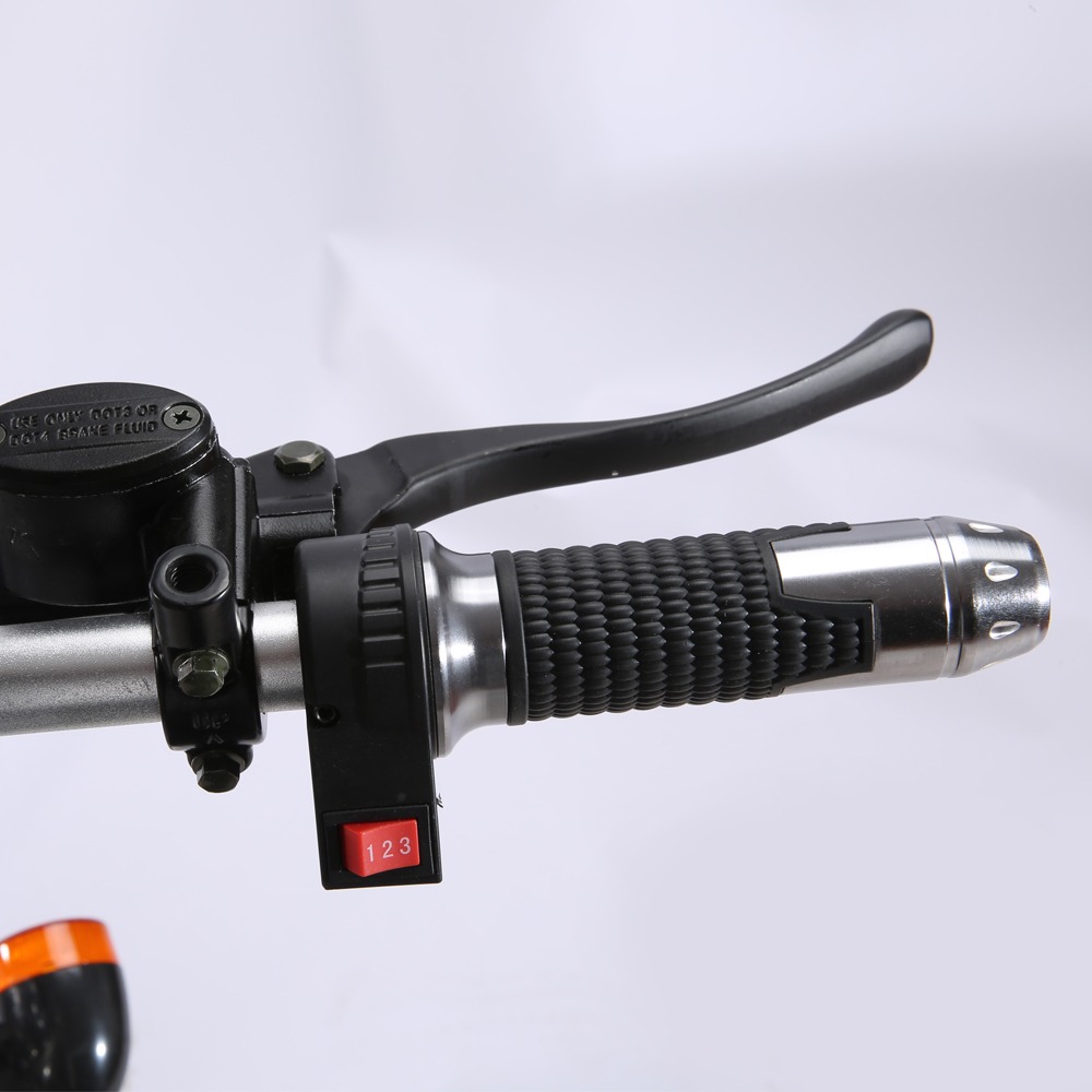 SC11 EE  500W 60V  /40ah - 3