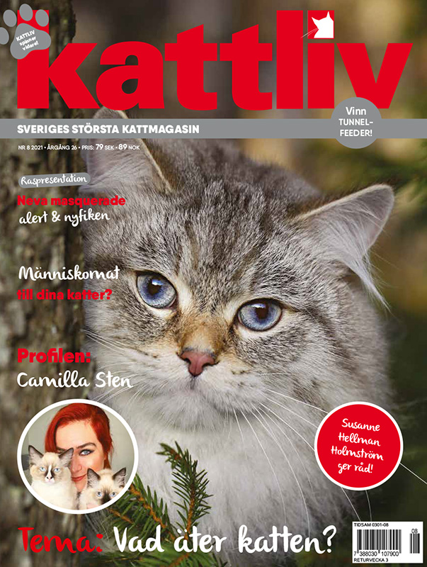 Lösnummer 8/2021
